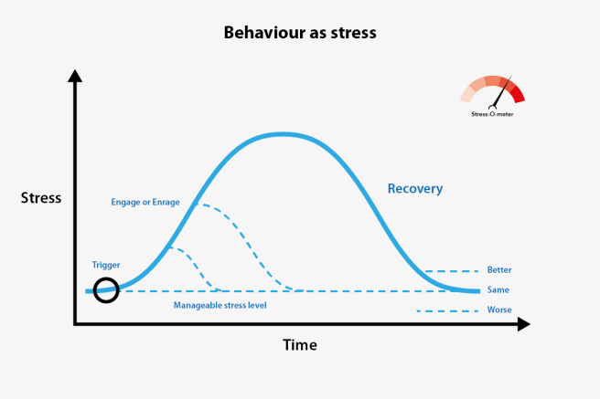 stress_graph